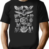 Bat Haeckel Illustration T-Shirt for Men & Women, T-Shirts Graphic Tee - Black