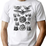 Bat Haeckel Illustration T-Shirt for Men & Women, T-Shirts Graphic Tee - White