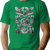 Bat Haeckel Illustration T-Shirt for Men & Women, T-Shirts Graphic Tee - Green