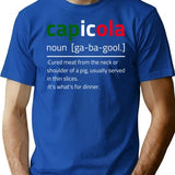 Capicola Gabagool Flag Description T-Shirt - Retro Graphic Tee for Men & Women - Blue